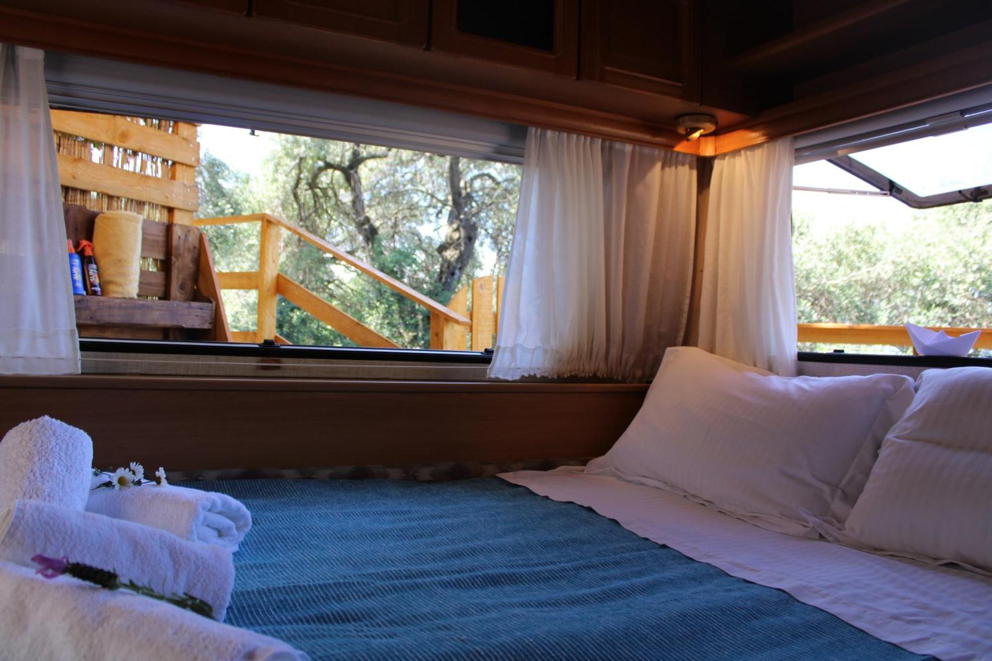 Camping Nature Habitat Pentátion