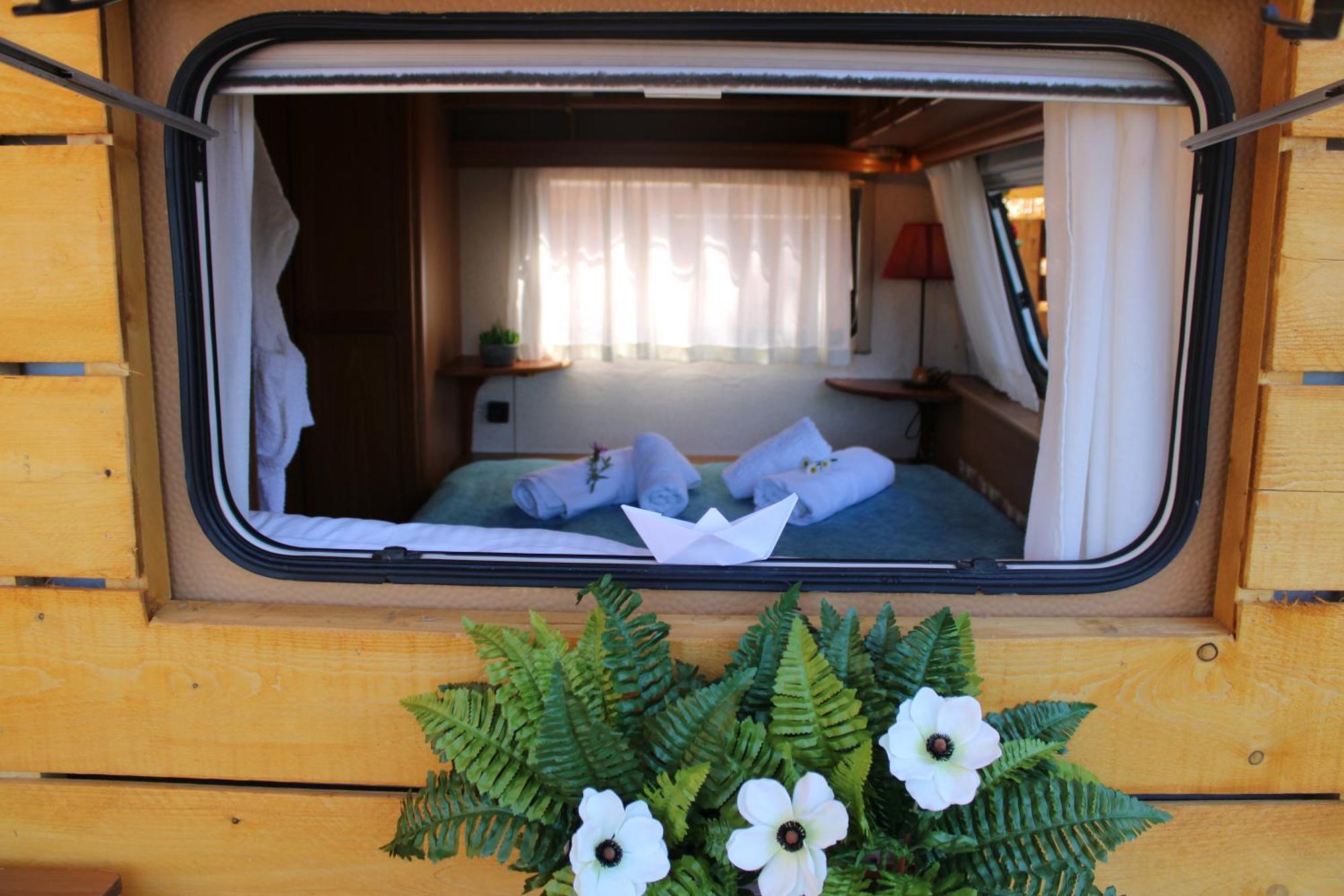 Camping Nature Habitat Pentátion