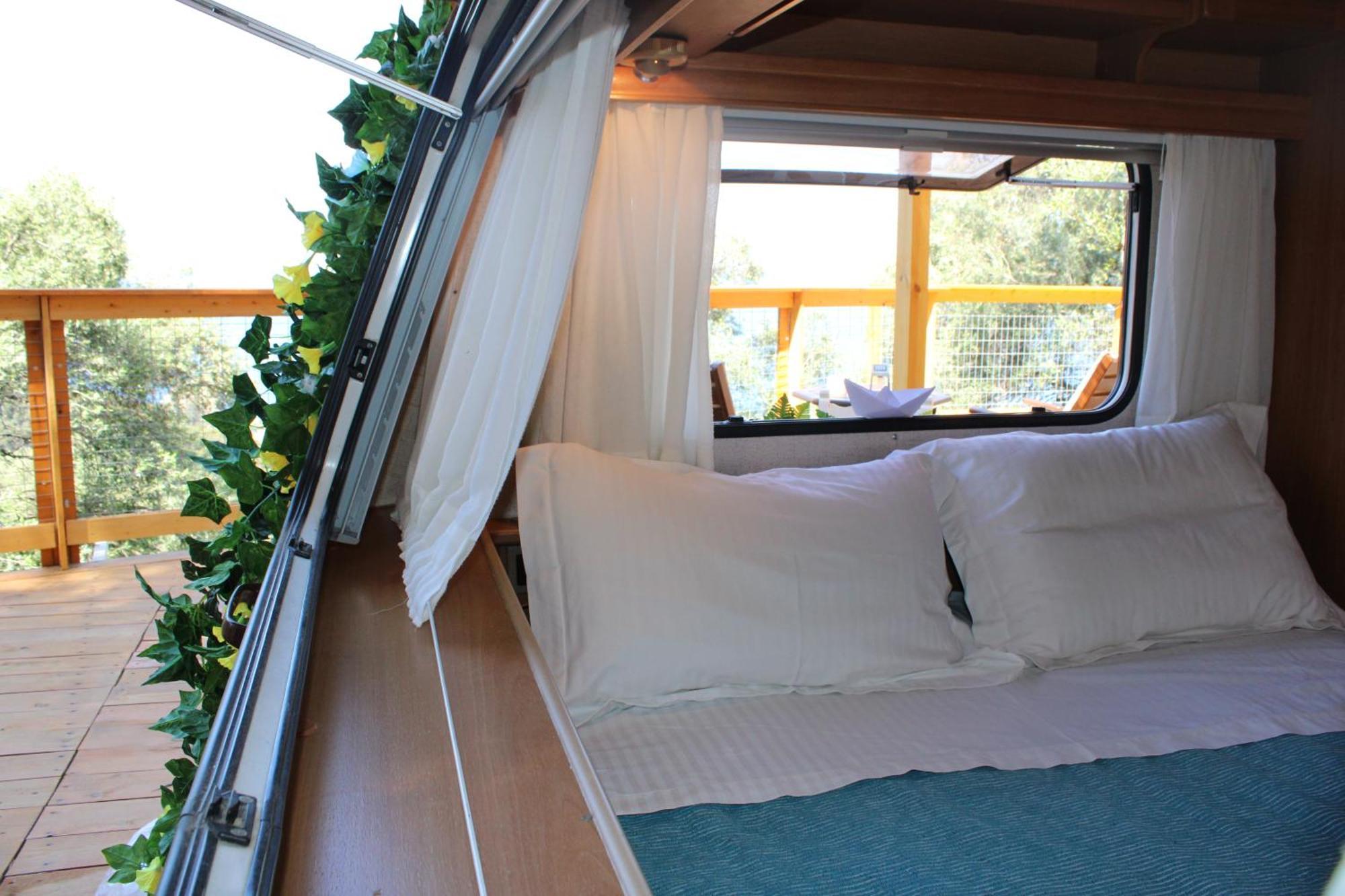 Camping Nature Habitat Pentátion