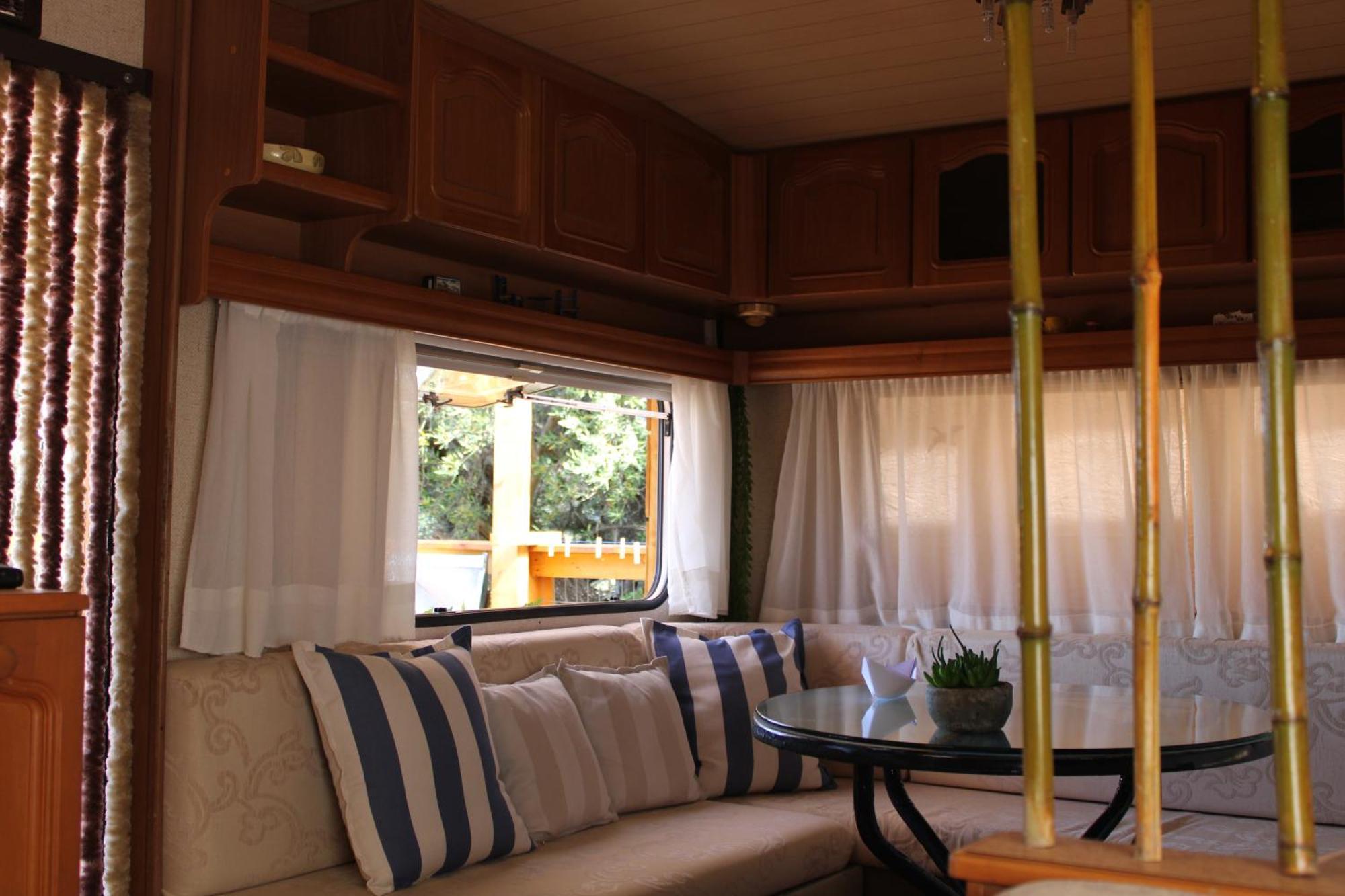 Camping Nature Habitat