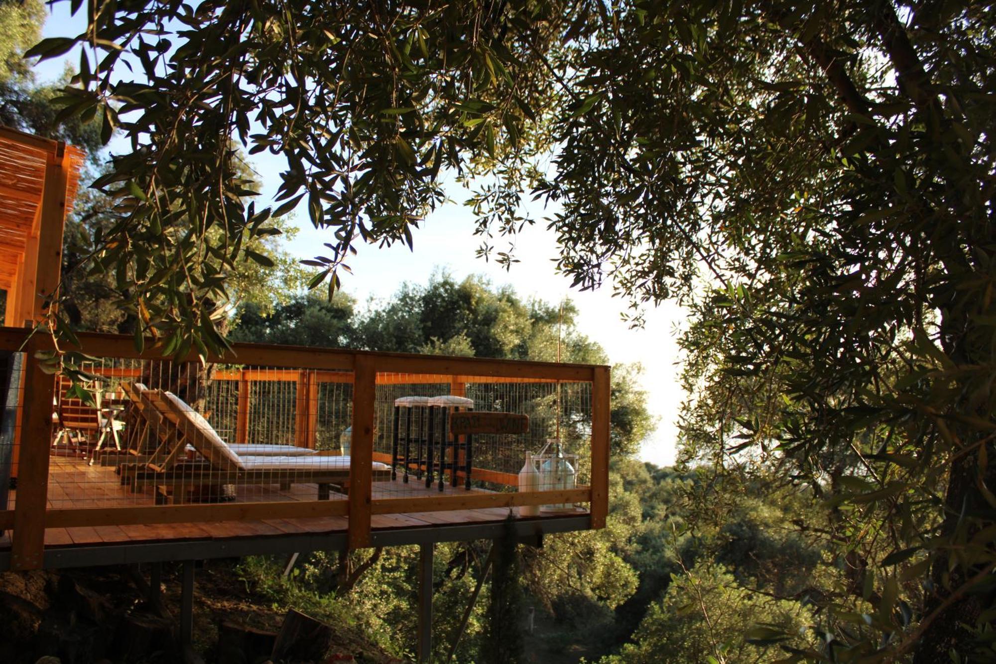 Nature Habitat Pentátion