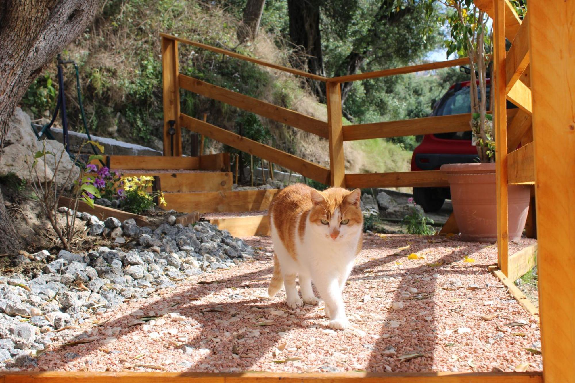 אתר קמפינג Nature Habitat Pentátion